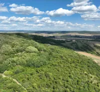 Behynce – 5.439 m2 LESNÝ pozemok v podiele 1/1 – Predaj - Kopcovitý zelený terén a rozľahlé poľnohospodárske a lesné pozemky v Tornaľi, za jasného dňa.