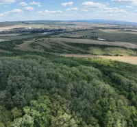 Behynce – 5.439 m2 LESNÝ pozemok v podiele 1/1 – Predaj - Krajina v Tornaľi so zmiešanými poľnohospodárskymi a lesnými pozemkami pod jasnou oblohou.