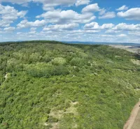 Behynce – 5.439 m2 LESNÝ pozemok v podiele 1/1 – Predaj - Lúky a lesy okolo Tornele, Poľnohospodárske a lesné pozemky, pod modrou oblohou.