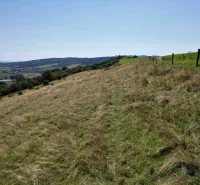 Vyšné Ružbachy – 1.016 m2 POZEMOK na CHATKU – Predaj - Krajina v Starej Ľubovni so zvláštnymi nehnuteľnosťami, ponúka pohľad na pastvinu a kopce.