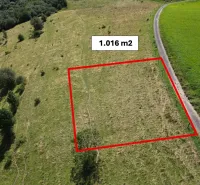 Vyšné Ružbachy – 1.016 m2 POZEMOK na CHATKU – Predaj - Pozemok so rozlohou 1.016 m², Zvláštne nehnuteľnosti, Stará Ľubovňa, vedľa cesty, zelená lúka.
