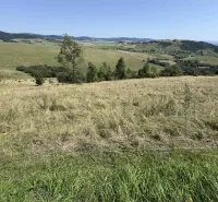 Vyšné Ružbachy – 1.016 m2 POZEMOK na CHATKU – Predaj - Kopcovitá krajina a lúky s výhľadom v oblasti Zvláštnych nehnuteľností v Starej Ľubovni.
