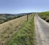 Vyšné Ružbachy – 1.016 m2 POZEMOK na CHATKU – Predaj - Vidiecka cesta obklopená lúkami a kopcami v pozadí, Zvláštne nehnuteľnosti v Starej Ľubovni.