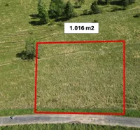 Vyšné Ružbachy – 1.016 m2 POZEMOK na CHATKU – Predaj - Pozemok 1.016 m² s trávou a stromami, Stará Ľubovňa, Zvláštne nehnuteľnosti.