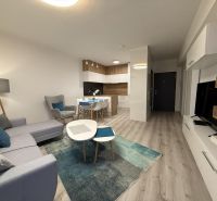 Nové skolaudované byty a apartmány vo Vajnoroch. - Svetlá obývacia izba s kuchynským kútom a podlahou s dreveným dekorom.