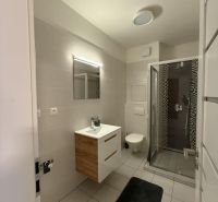Nové skolaudované byty a apartmány vo Vajnoroch. - Kúpeľňa so sprchovým kútom, umývadlom a zrkadlom, 2-izbový byt s dlažbou.
