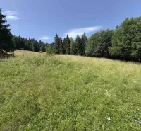 Vyšné Ružbachy – 1.016 m2 POZEMOK na CHATU  pri lese  - Zelená lúka obklopená stromami v prírode, Stará Ľubovňa, Zvláštne nehnuteľnosti.