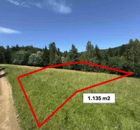 Vyšné Ružbachy – 1.016 m2 POZEMOK na CHATU  pri lese  - Pozemok s rozlohou 1,135 m² v prírode pri zvláštnych nehnuteľnostiach v Starej Ľubovni.