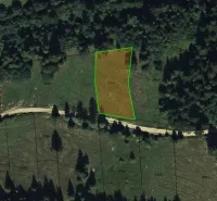 Vyšné Ružbachy – 1.016 m2 POZEMOK na CHATU  pri lese  - Lúka so zelenými hranicami parcely, obklopená lesmi v Starej Ľubovni - Zvláštne nehnuteľnosti.