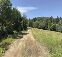 Vyšné Ružbachy – 1.016 m2 POZEMOK na CHATU  pri lese  - Lesná cesta obklopená stromami a trávou v región Stará Ľubovňa, Zvláštne nehnuteľnosti.