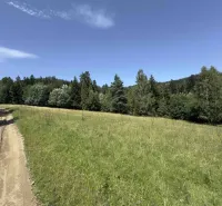 Vyšné Ružbachy – 1.016 m2 POZEMOK na CHATU  pri lese  - Lesná cesta a lúka obklopené stromami v oblasti Starej Ľubovne, Zvláštne nehnuteľnosti.