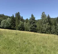 Vyšné Ružbachy – 1.016 m2 POZEMOK na CHATU  pri lese  - Les v Starej Ľubovni obklopený lúkou, ideálny pre milovníkov zvláštnych nehnuteľností.