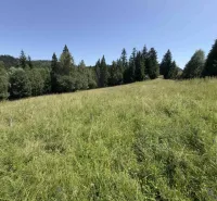 Vyšné Ružbachy – 1.016 m2 POZEMOK na CHATU  pri lese  - Zeleň na lúke obklopená lesom v okolí Starej Ľubovne, Zvláštne nehnuteľnosti.
