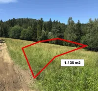 Vyšné Ružbachy – 1.016 m2 POZEMOK na CHATU  pri lese  - Pozemok pri lese v oblasti Starej Ľubovne, s označenou rozlohou 1.135 m², Zvláštne nehnuteľnosti.