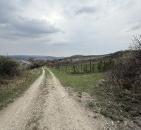 Oplotený obrábaný vinohrad so studňou.Fajgalská cesta - Zasnežená cesta na Rekreačných pozemkoch, Fajgalská cesta v Pezinku, obklopená vegetáciou a oplotením.