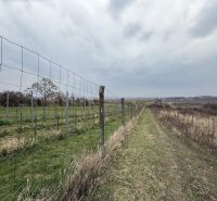 Oplotený obrábaný vinohrad so studňou.Fajgalská cesta - Vinice na Rekreačných pozemkoch vo Fajgalskej ceste v Pezinku pod oblačnou oblohou.