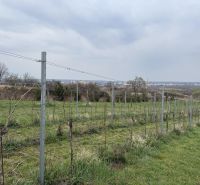 Oplotený obrábaný vinohrad so studňou.Fajgalská cesta - Vinica na rekreačných pozemkoch na Fajgalskej ceste v Pezinku, s výhľadom na mesto.