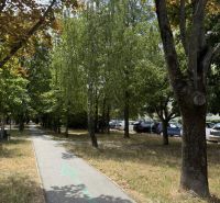 Kľúč RK-Novinka:Priestranný 2-iz.byt s loggiou.(možnosť zmeny na 3-iz) - Chodník pri Čiližskej ulici v Bratislave - Vrakuni lemovaný stromami a zaparkovanými autami.