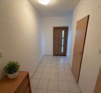 3-izb. byt (74m2), balkón, komora, Senica - Sotiná - Interiér 3-izbového bytu s dlažbou, izbovou rastlinou a drevenými dverami.