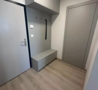 Prenájom 2 izbového bytu ARBORIA Trnava - Vstupná chodba v 2-izbovom byte s podlahou s dreveným dekorom a úložným priestorom.