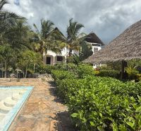 SAMOSTATNE STOJACA VILA MAPUMZIKO S 2 IZBAMI NA ZANZIBARE  - Rodinný dom vo Fumba Town s bazénom, palmami a altánkom na terase.