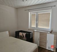 EXKLUZÍVNE NA PREDAJ 2-izbový rodinný dom v širšom centre Nitry s pote - Kúpeľňa s vaňou, toaletou a práčkou v rodinnom dome. Dekoratívne steny.