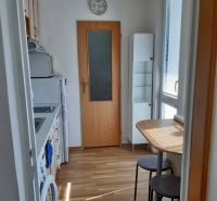 Prenájom 1 izbový byt, ulica Donnerova, Bratislava IV. Karlova Ves - Kuchyňa v 1-izbovom byte so spotrebičmi a podlahou s dreveným dekorom.