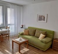 Prenájom 1 izbový byt, ulica Donnerova, Bratislava IV. Karlova Ves - Obývacia izba v 1-izbovom byte so zelenou sedačkou a jedálenským stolom.