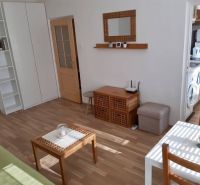 Prenájom 1 izbový byt, ulica Donnerova, Bratislava IV. Karlova Ves - Obývacia izba s podlahou s dreveným dekorom, sedačkou a vstavanou skriňou v 1-izbovom byte.