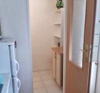 Prenájom 1 izbový byt, ulica Donnerova, Bratislava IV. Karlova Ves - Vstup do komory v 1-izbovom byte, podlaha s dreveným dekorom.