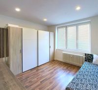 Garsónka po kompletnej rekonštrukcii v širšom centre mesta - Izba s posteľou, skriňou a podlahou s dreveným dekorom v Rekreačnom apartmáne.