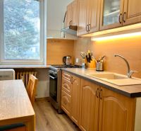 Na predaj 2 izbový byt, 47 m2, Bratislava, Nové Mesto, Piešťanská ul. - Kuchyňa v 2-izbovom byte s dreveným nábytkom a podlahou s dreveným dekorom.