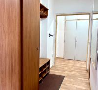 Na predaj 2 izbový byt, 47 m2, Bratislava, Nové Mesto, Piešťanská ul. - Chodba s podlahou s dreveným dekorom a vstavanými skriňami v 2-izbovom byte.