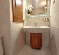 PRENÁJOM 3-izb.byt /loggia/ klíma/ Dudvážska–BA Podunajské Biskupice - Kúpeľňa v 3-izbovom byte so zrkadlom, umývadlom a skrinkou s dreveným dekorom.