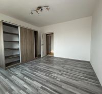 Na predaj 2 izbový byt 54 m2 po rekonštrukcii + záhrada, obec Telince - Priestranná izba s podlahou s dreveným dekorom a vstavanou skriňou v 2-izbovom byte.