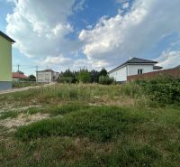 Na predaj 2 izbový byt 54 m2 po rekonštrukcii + záhrada, obec Telince - Záhrada v okolí domov v Telinciach s premenlivou oblačnosťou na oblohe.