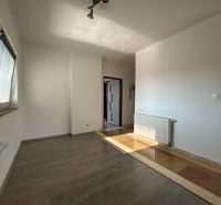 Na predaj 2 izbový byt 54 m2 po rekonštrukcii + záhrada, obec Telince - Interiér 2-izbového bytu s podlahou s dreveným dekorom a radiátorom.