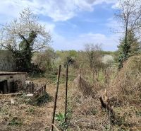 Starší rodinný dom s veľkým pozemkom, Devínska Nová Ves - Záhrada s drobnou stavbou v Devínskej Novej Vsi na Námestí 6 apríla.
