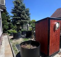 6-izb. rodinný dom, lokalita Nové Košariská, Dunajská Lužná - Záhrada pri rodinnom dome na Nových Košariskách v Dunajskej Lužnej so zelenými rastlinami.