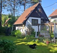 Záhradná chata so záhradou, Devínska cesta, Devín - Záhrada s chatou v oblasti Bratislava - Devín, obklopená stromami a kríkmi.