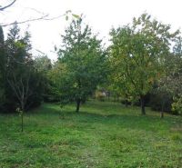 Rodinný dom s administratívnou budovou, dvojgarážou a veľkým pozemkom - Záhrada pri rodinnom dome v mestskej časti Bratislava - Dúbravka na ulici Na vrátkach.