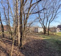 Krásna vinica pri Nitre - 895 m2  - Záhrada s holými stromami a domami na Ambrovej ulici vo viniciach v Nitre.