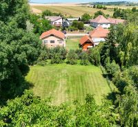 Rodinný dom s krásnym 18 á pozemkom ( stavebným) - Nové Sady  - Záhrada pri rodinnom dome v Nových Sadoch, obklopená stromami a trávnikom.