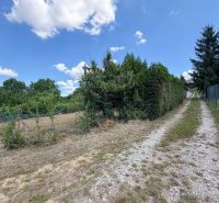 Pozemok s rekreačnou záhradnou chatkou v Nitre - 603 m2  - Kamenná cesta na Rekreačných pozemkoch v Šúdolskej ulici, Nitra, obklopená zeleňou.