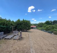 Pozemok s rekreačnou záhradnou chatkou v Nitre - 603 m2  - Trávnatý pozemok s dreveným sedením obklopený zeleňou na Rekreačných pozemkoch v Nitre, Šúdolská.