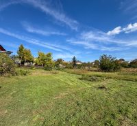 Stavebný pozemok so stavebným povolením - Janíkovce - 729 m2 - Zeleň na pozemkoch pri Hlavnej ulici v Nitre ponúka potenciál pre bývanie.