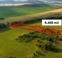 Liptovský Trnovec – 6.488 m2 POZEMOK na MOBILNÝ dom - Lúka so zvýrazneným pozemkom v Liptovskom Trnovci medzi Zvláštnymi nehnuteľnosťami, prírodná krajina, kopce.