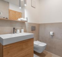 I Luxusné dvojpodlažné chalet pri Liptovskej Mare - Kúpeľňa v hoteloch a penziónoch s podlahou s dreveným dekorom, umývadlom a sprchou.