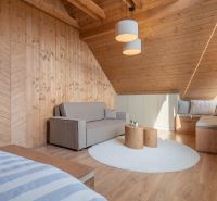 I Luxusné dvojpodlažné chalet pri Liptovskej Mare - Interiér s pohovkou, dreveným obložením a podlahou s dreveným dekorom v Hoteloch a penziónoch.