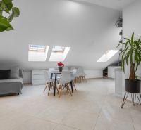 I Exkluzívny penthouse s terasou v absolútnom centre mesta - Podkrovný interiér 2-izbového bytu s jedálenským stolom, stoličkami a rastlinami.